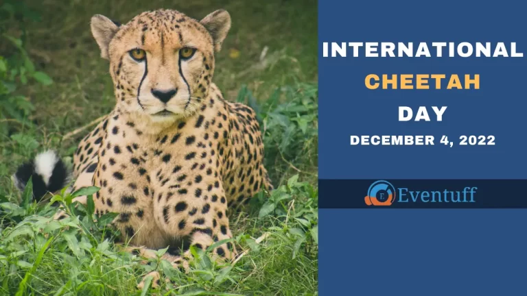 International Cheetah Day – 4th December 2022