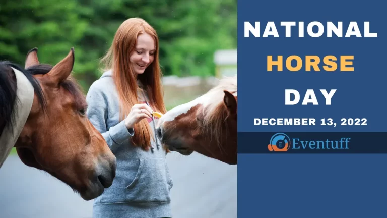 National Horse Day | December 13, 2022