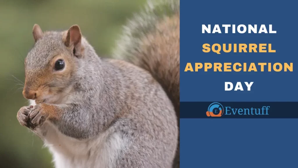 National Squirrel Appreciation Day